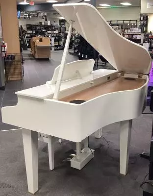 Roland - GP607-PW-B 2